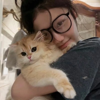 猎罪图鉴